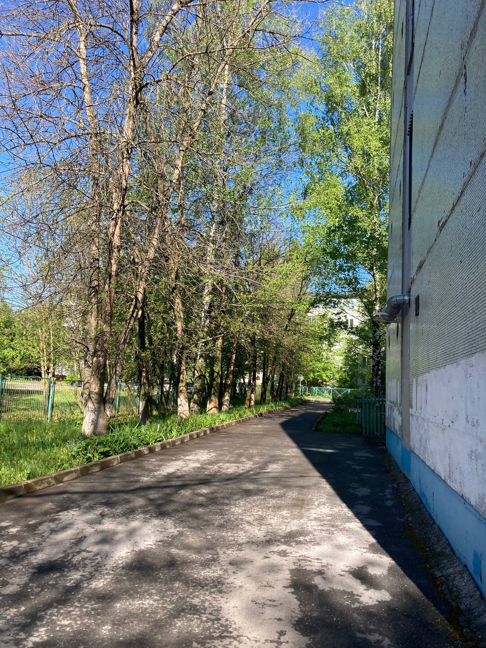 IMG 20250520 081809 399